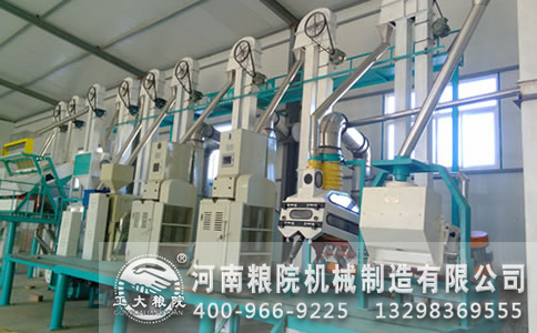 ������ӹ��C��